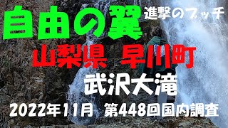 【進撃のブッチ】【武沢大滝】【山梨県 早川町】【第448回国内調査202211】【1080ｐ60fps】【Japan waterfall]】