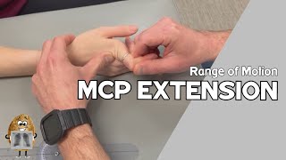 ROM: Metacarpophalangeal (MCP) Joint Extension Range of Motion