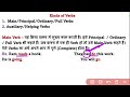 verb in english grammar types of verb main verb u0026 auxiliary verb object to the verb part 01