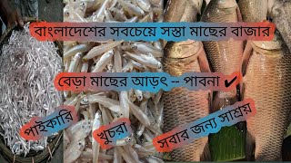 দৈনিক মাছ বাজার বেড়া পাবনা ➤ মাছের বাজার বাংলাদেশ ✔ fishing