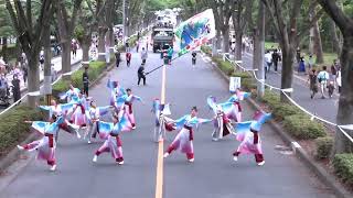 妃龍〔彩夏祭　公園通り南演舞場　20200806〕