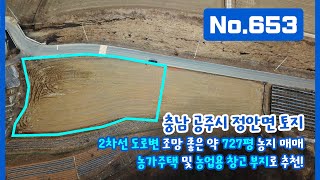 [재업로드 영상/일부 토지 매매 완료] No.653 농가 주택 및 농업용 창고 부지로 추천! 충남 공주시 정안면 2차선 도로변 조망 좋은 약728평 토지