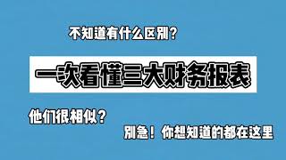 【三大财务报表？】一网打尽！财务报表