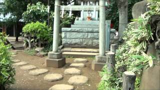 千駄ヶ谷の富士塚　登山　　　鳩森八幡神社