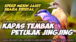 MASTERAN MESIN JAHIT PETULAK JINGJING SAMBUNG KAPAS TEMBAK || KAPAS TEMBAK VS JINGJING PETULAK