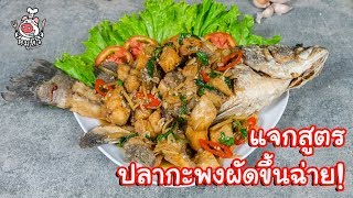 [แจกสูตร] ปลากะพงผัดขึ้นฉ่าย - สูตรลับของเจ๊หมู