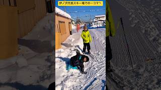 【伊ノ沢市民スキー場】①スキーで疲れたから雪遊びに変更したよ〜⛷️ 真冬の北海道☃️ 北海道旭川市✨ #ninjya #shorts  #スティーブ #トレーシー #伊ノ沢市民スキー場 #スキー