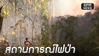 ไฟป่านครนายกยังไม่ดับ แต่คุมได้ในวงจำกัด | ข่าวช่องวันเสาร์อาทิตย์ | สำนักข่าววันนิวส์