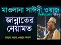 জান্নাতের নেয়ামত। Maulana Delwar Hossain Saidi Waz।