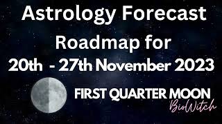 🌓Celestial Checkpoints: DECODED Mystical Energies (Nov 20-27) 🌌 | BioWitch Astrology Forecast