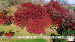 【大田原市】佐久山御殿山公園紅葉【ドローン】