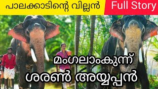 മംഗലാംകുന്ന് ശരൺ അയ്യപ്പൻ Story | Mangalamkunnu Saran Ayyappan Story