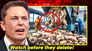 Elon Musk: You Won’t Believe What’s in These 8 Foods. You'll Stop buying after this!