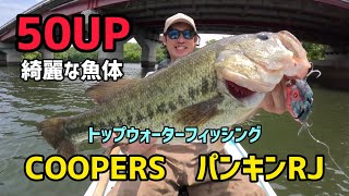 大漁！50UP〜40UP！トップウォーターで仲間達とよく釣れた日！#トップウォーター #バスフィッシング #バス釣り #釣り