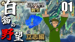 新生PK白猫編01 桶狭間は起こらない！今川を平らげろ！東海の覇者を目指せ！白猫！