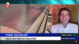 TÜSEDAD BAŞKANI SENCER SOLAKOĞLU,TARIM TEŞVİKLERİ ÜZERİNE DEĞERLENDİRMELER / HALK TV