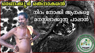 Onakkoor Rathnakaran | Life Story | Kerala ElephantTrainer | Malayalam Vlogs | Onakkoor Pappan |