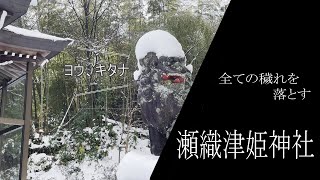 【代理参拝】瀬織津姫神社に行ってきました【石川】