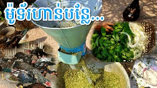 ម៉ូទ័រហាន់បន្លែ ត្រកួន ស្លឹកផ្ទី  ស្ពៃ ស្លឹកឆៃយ៉ា ស្មៅ/088-368-3444