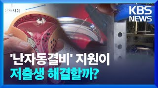 “일단 얼리세요”…‘난자동결비’ 지원이 저출생 해결할까? [친절한 뉴스K] / KBS  2023.08.28.