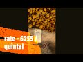 turmeric rates at basmat market hingoli date 22 06 2022