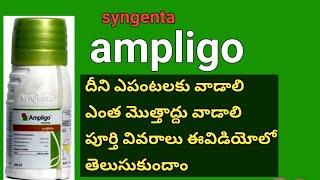 syngenta ampligo insecticide full details in telugu | full details by BB agriculture telugu