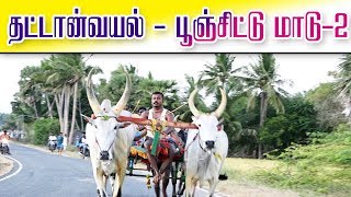 தட்டான்வயல் பூன்சிட்டுபிரிவு -2 -08.03.2020-Thattanvayal Poonjiitu Madu Part-2