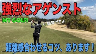 [ゴルフ ラウンド レッスン スコアアップ スイング解説 フェード]MY GOLF!-マッチプレーその7- 後半開始！早々に2人を待ち受けるのは強烈なアゲンスト！強風でも距離感を出すプロの技術とは？