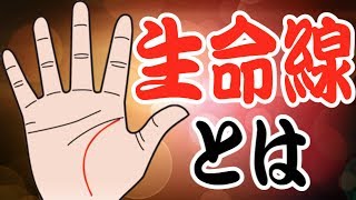 今さら聞けない手相の基本！生命線ってどんな線？