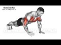 10 home full body exercises to build muscle u0026 lose belly fat💪