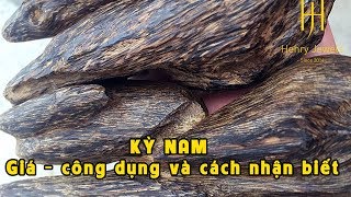 Kỳ Nam có GIÁ bao nhiêu, CÔNG DỤNG và cách NHẬN BIẾT Kỳ Nam