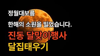 [JTV진전방송]25년 제29회 진동달맞이 행사