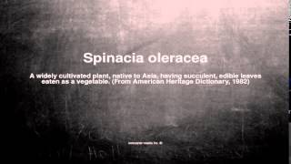 Medical vocabulary: What does Spinacia oleracea mean