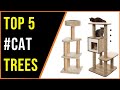 ✅Best Cat Trees 2022-Top 5 Cat Tree Reviews 2022