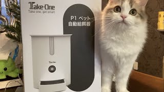 子猫でも二日間お留守番できました＊サイベリアン＊