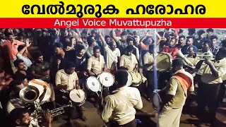 Velmuruga | വേൽമുരുക ഹരോഹര | Angel Voice Muvattupuzha