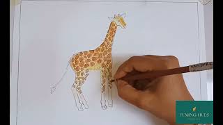 draw giraffe easy | draw giraffe step by step | | drawing animals tutorials L-3