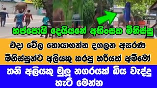 මුලු නගරයක් ව්නාශ කල තනි අලියා|පවු දෙව්යනේ අහිංසක මිනිස්සුන්|srilankan elephant attack