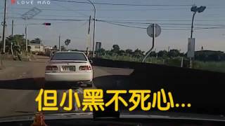 小狗疑遭棄養 一路猛追車 主人你不要我了嗎？