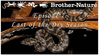 More epic wildlife facts and tales from the Iron range. Episode 7