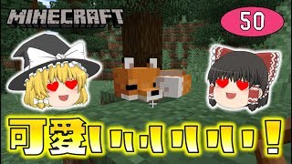 【Minecraft】キツネが可愛すぎるぅうううう！！ゆっくり達のマインクラフト part50