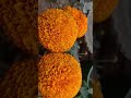 flowerlovers marigoldflower shortsviral