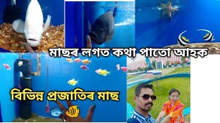 বিভিন্ন প্ৰজাতিৰ মাছ 🐠🐟 প্ৰথম দেখিলোঁ এনেকুৱা মাছ 😱 মাছৰ লগত কথা পাতো আঁহক#vlog@Gaoliyasuwalisunu