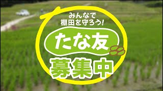 たな友～みんなで棚田を守ろう！～　＜たな友募集編＞