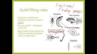 12B   Temporal ecology   Assembly rules