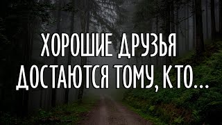 Кто такой друг? Друг – это одна душа, живущая в двух телах.