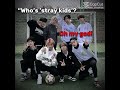 who's stray kids?