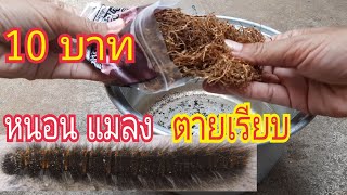 10 บาท กำจัดหนอนกินใบ ไล่แมลงศัตรูพืช ทำง่ายปลอดภัย เห็นผลทันใจ สาคู channel