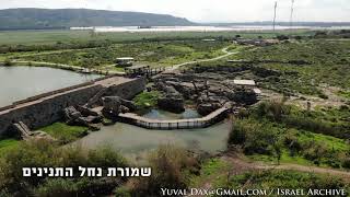 שמורת נחל תנינים / Nahal Taninim