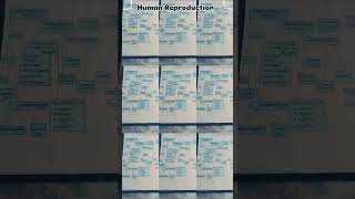 🚻 # human Reproduction flowchart biology  #male and female reproductive system #ytstudio #viralvideo